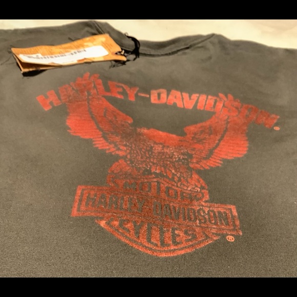 Harley Davidson Women’s Long Sleeve Gray T-Shirt - Picture 4 of 6